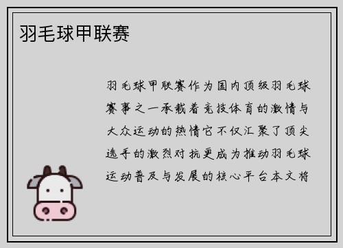羽毛球甲联赛